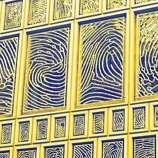 The German Digital Identity Wallet: Use Case and Implementation